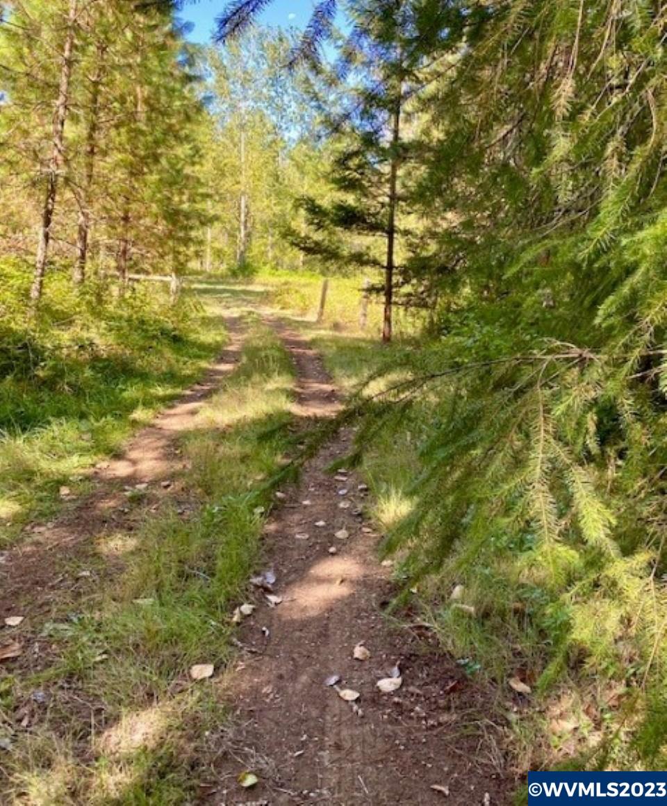 34962 Bond (behind) Road Lebanon, OR 97355 - Photo 2 of 7