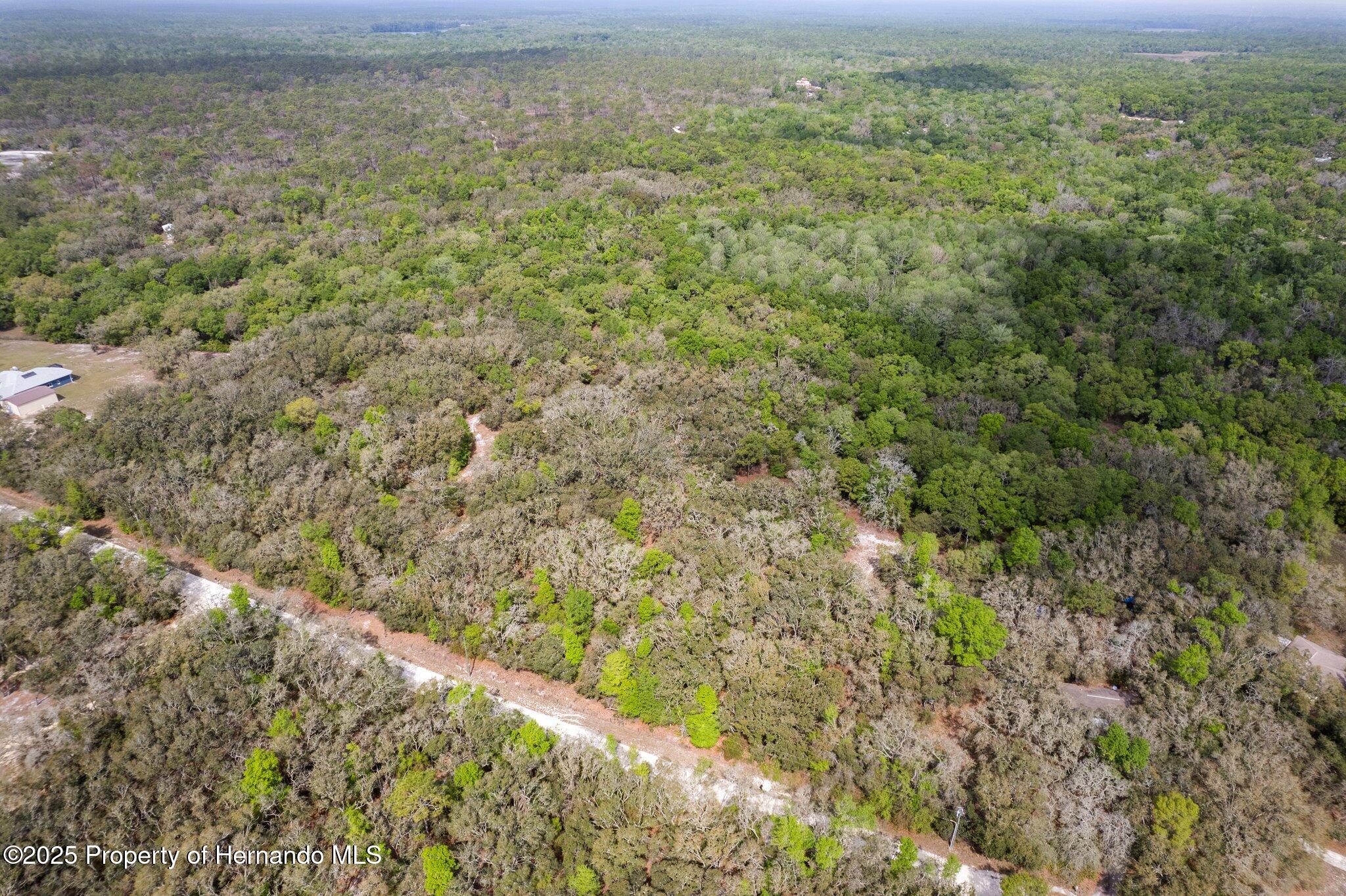 0 Rimrock Street Webster, FL 33597 - Photo 19 of 25