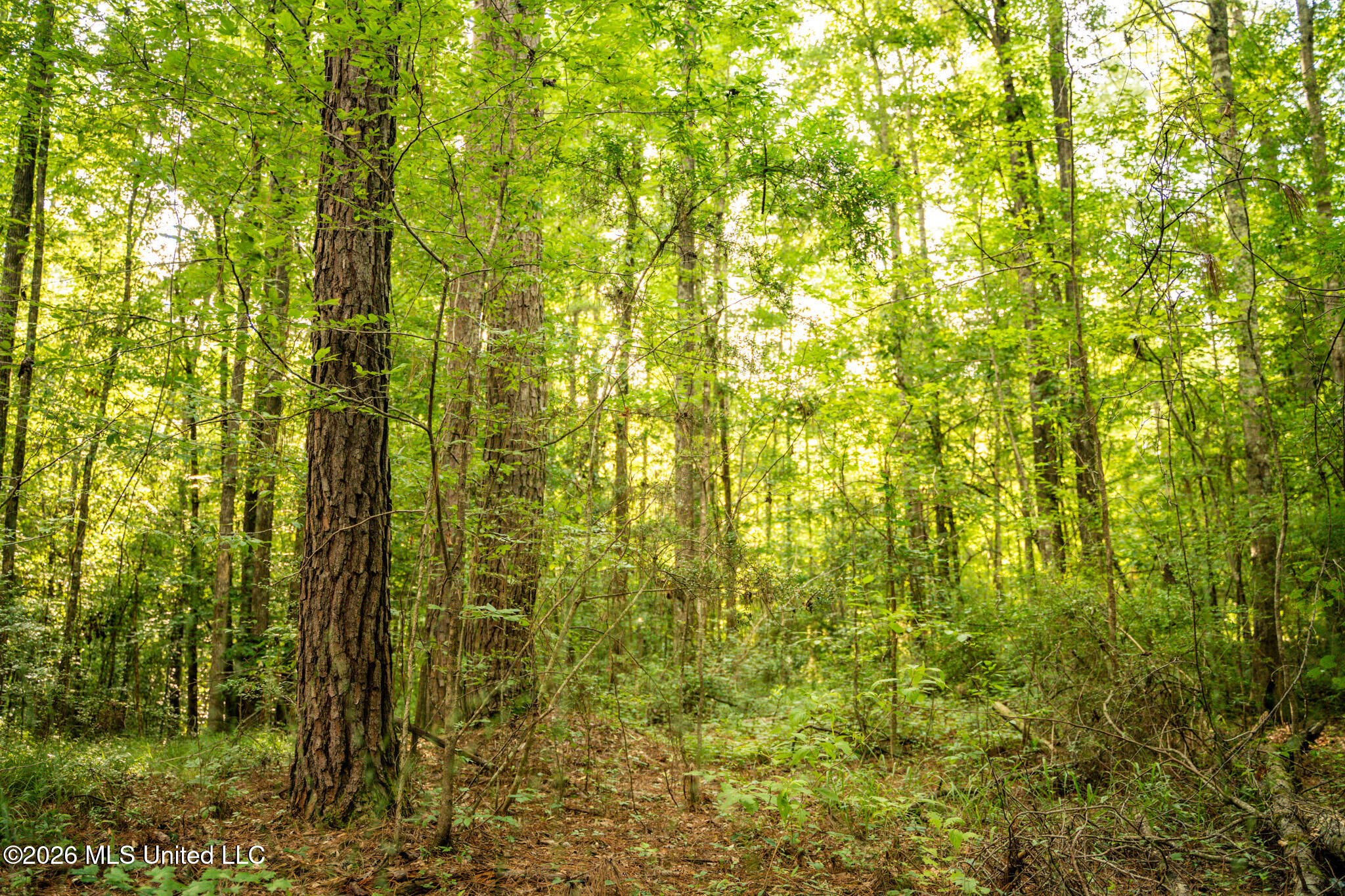 3024 Highway 84 Brookhaven, MS 39601 - Photo 69 of 74 65