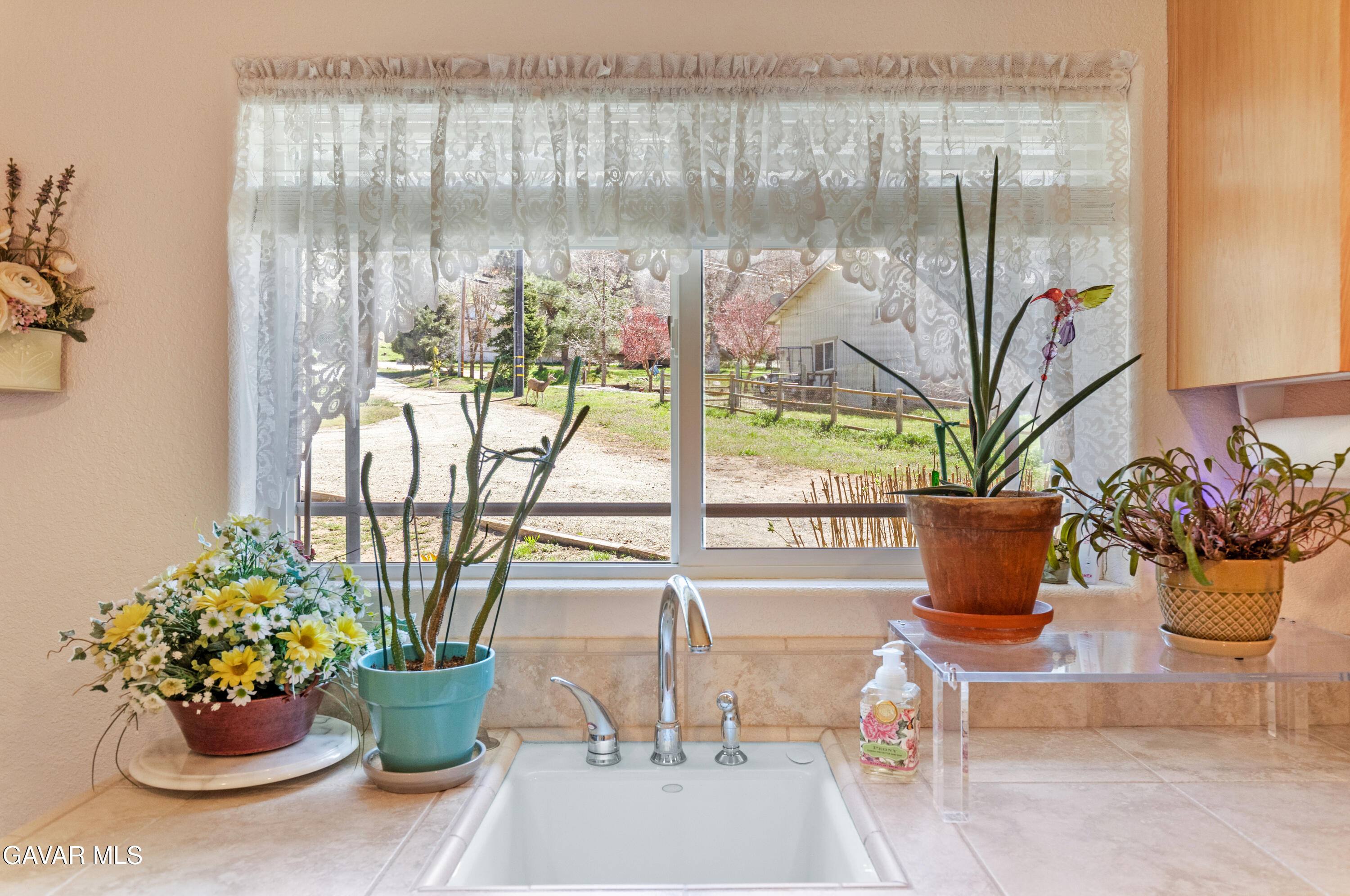 29541 Butterfield Way Tehachapi, CA 93561 - Photo 54 of 101 6Y9A0209