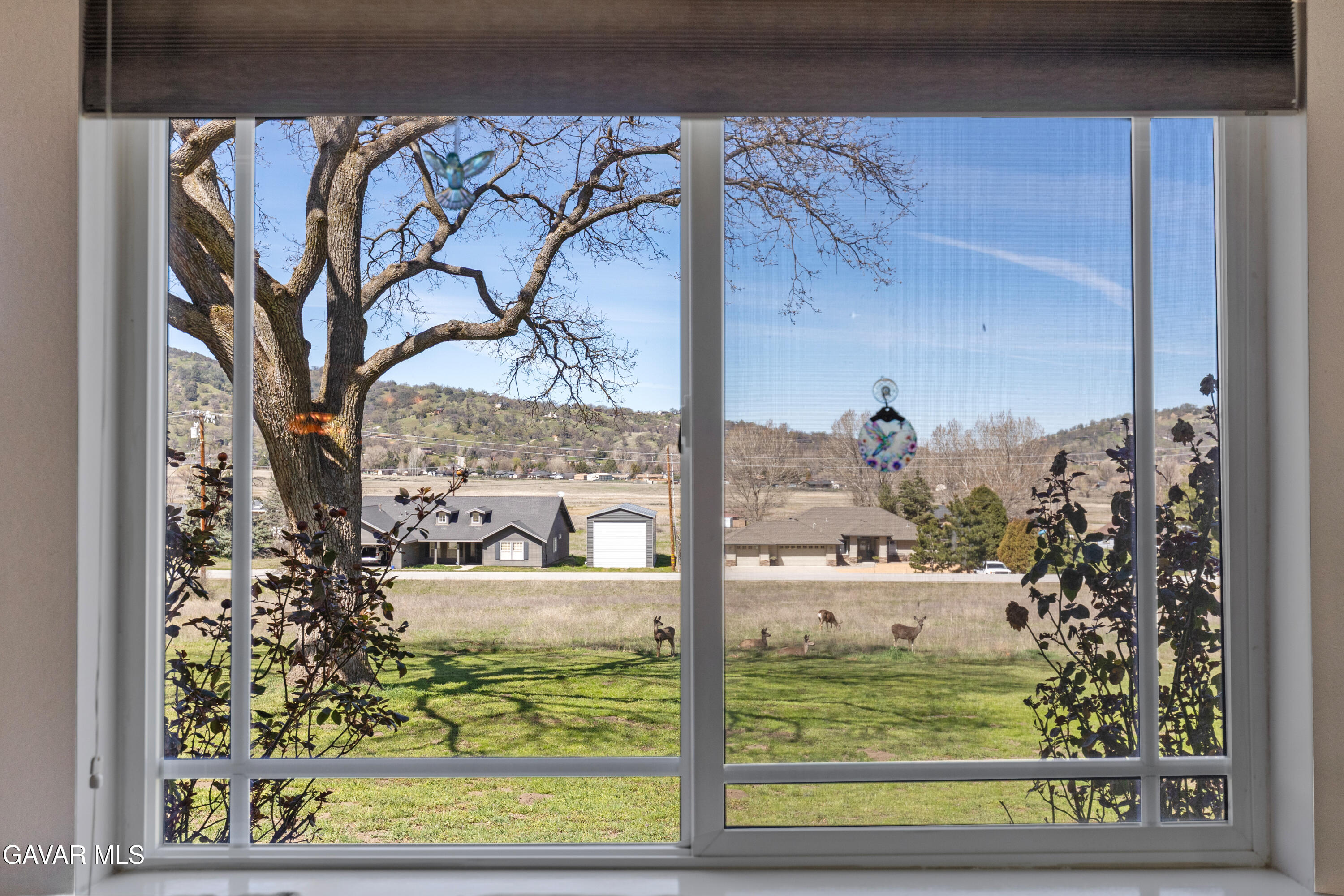 29541 Butterfield Way Tehachapi, CA 93561 - Photo 81 of 101 6Y9A0110