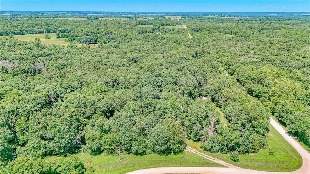 305 Southwest 600th Road Warrensburg, MO 64093 - Photo 3 of 41
