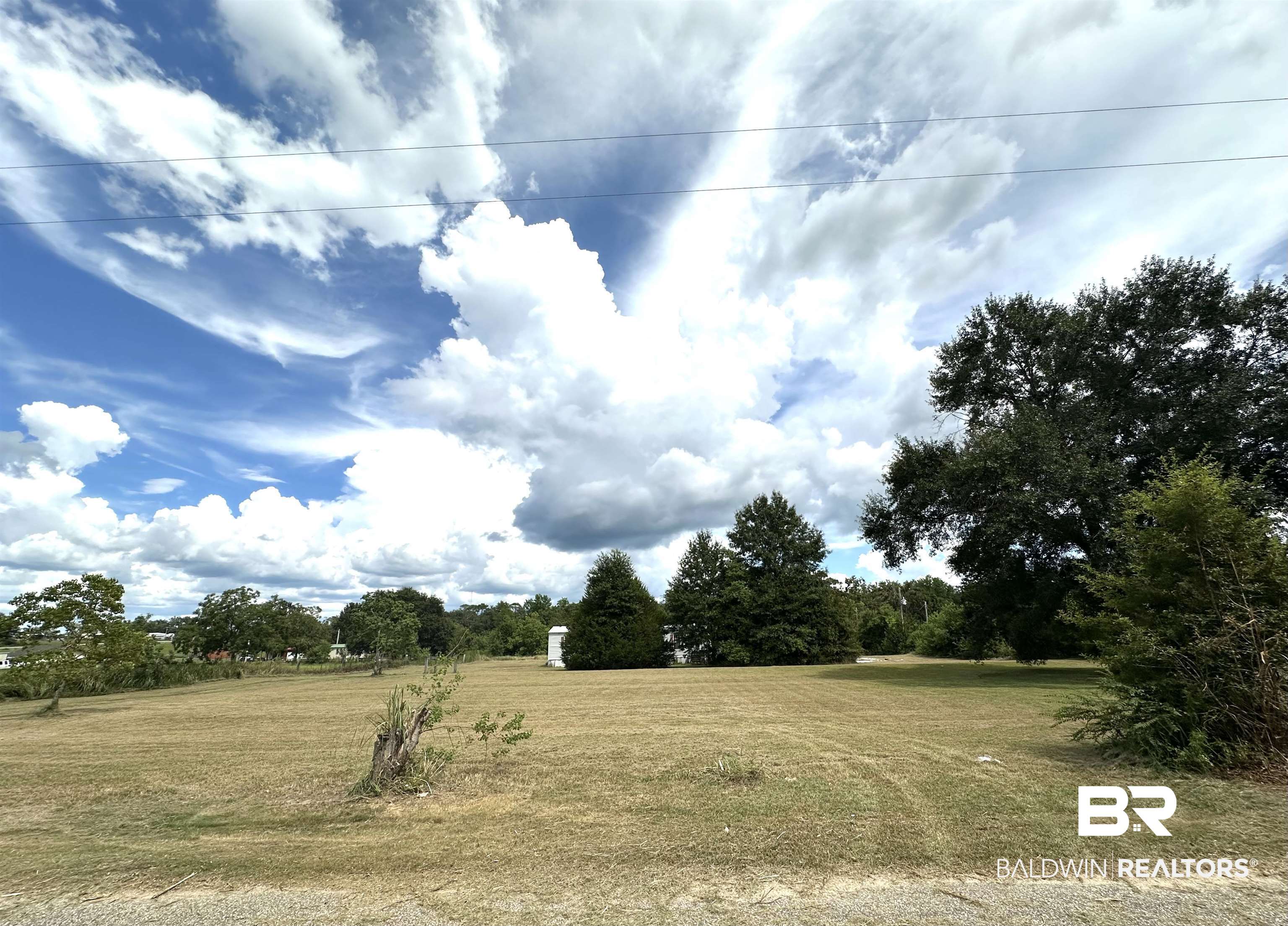 23268 T D Barnett Road Robertsdale, AL 36567 - Photo 10 of 16 View of nature