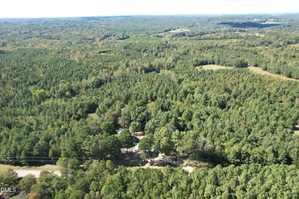 a view of a forest with a street