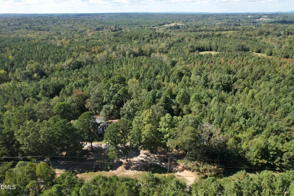 a view of a forest with a street