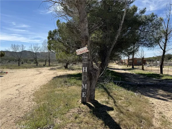 a view of yard with trees