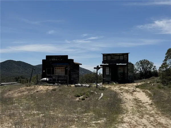 a view of a dry yard