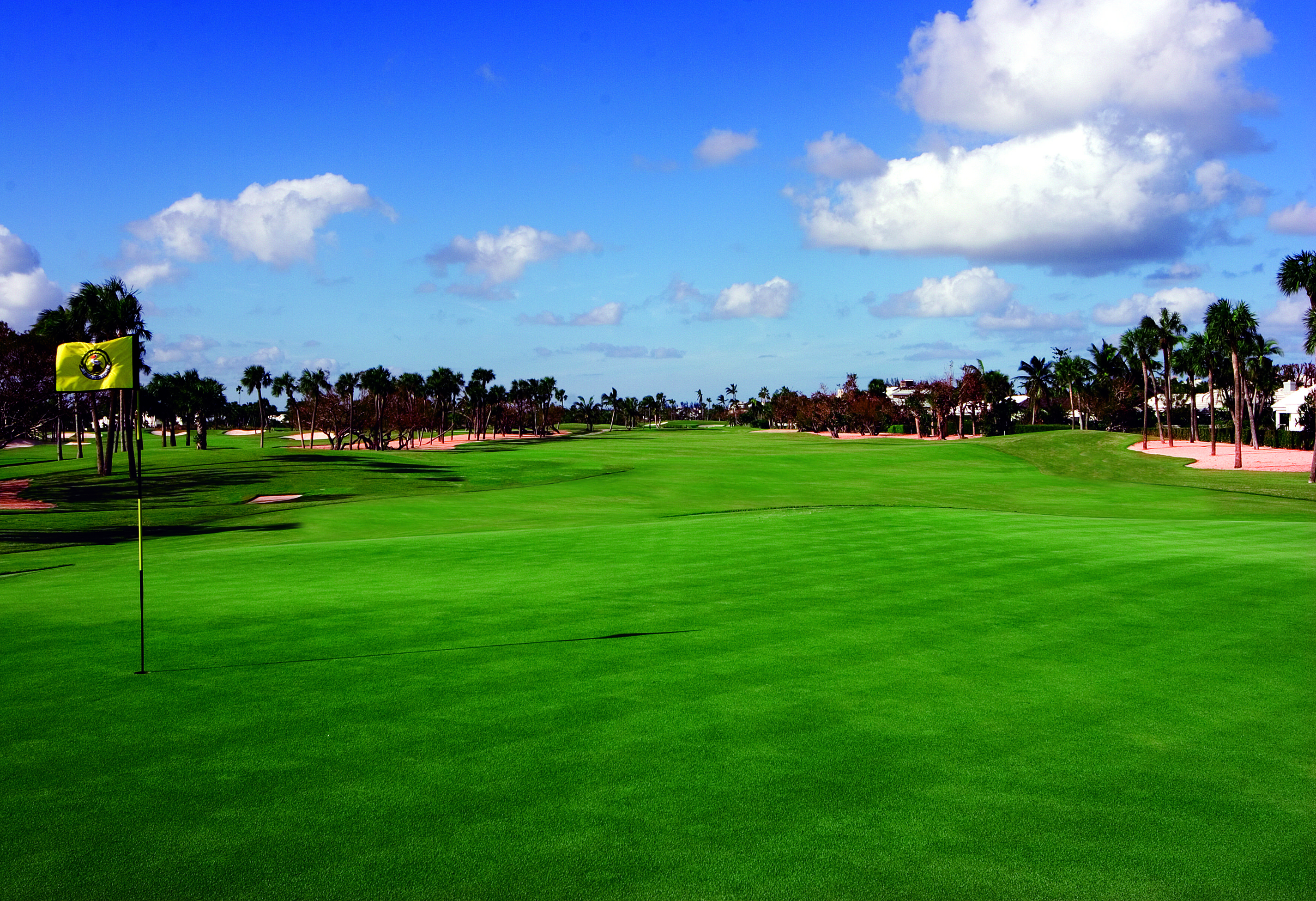 1001 Crystal Way, Unit P Delray Beach, FL 33444 - Photo 31 of 50 August