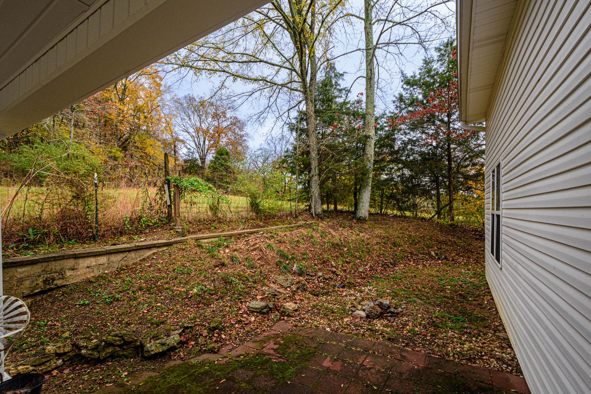 1828 Bunker Hill Road Pulaski, TN 38478 - Photo 46 of 57 a view of a yard with an trees