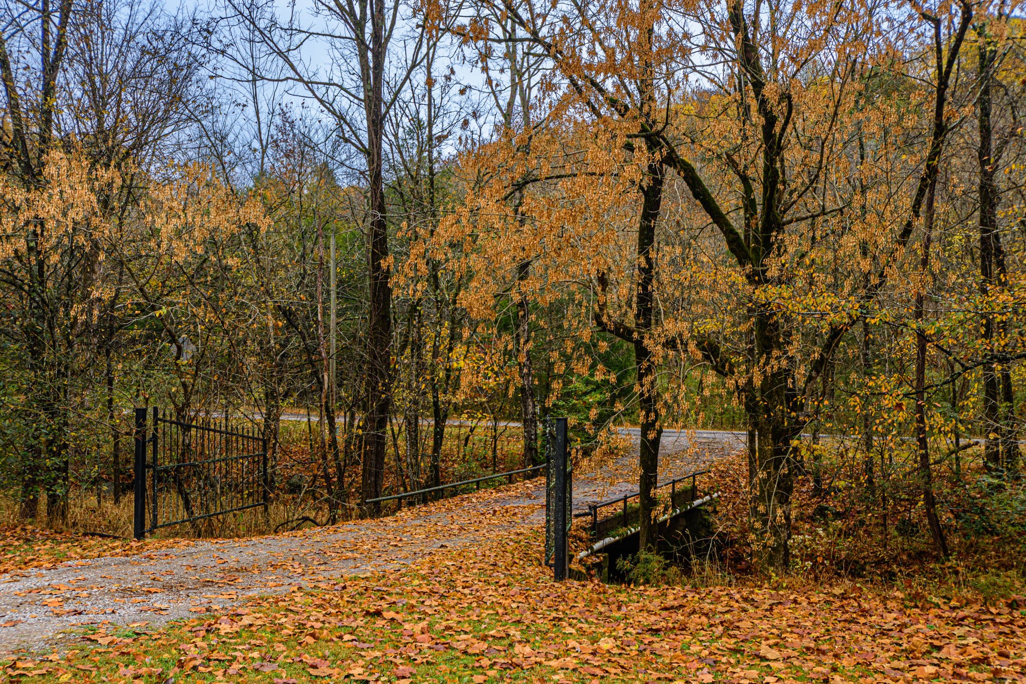 1828 Bunker Hill Road Pulaski, TN 38478 - Photo 5 of 57
