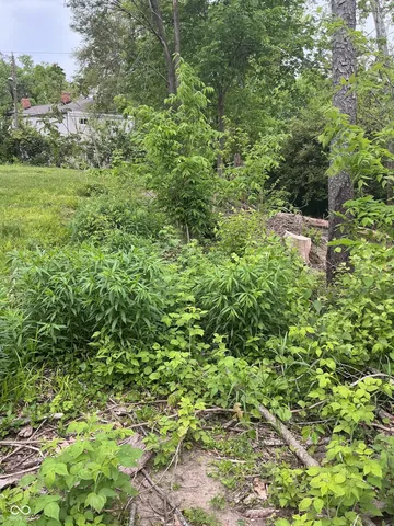 $20,000 | 1943 Dequincy Street, Indianapolis, IN 46218