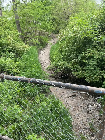 $20,000 | 1943 Dequincy Street, Indianapolis, IN 46218