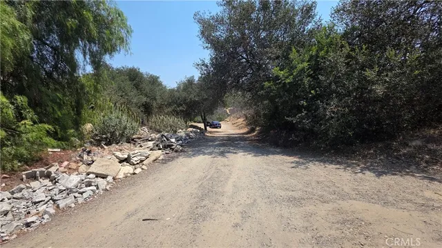 a view of a lake with a tree