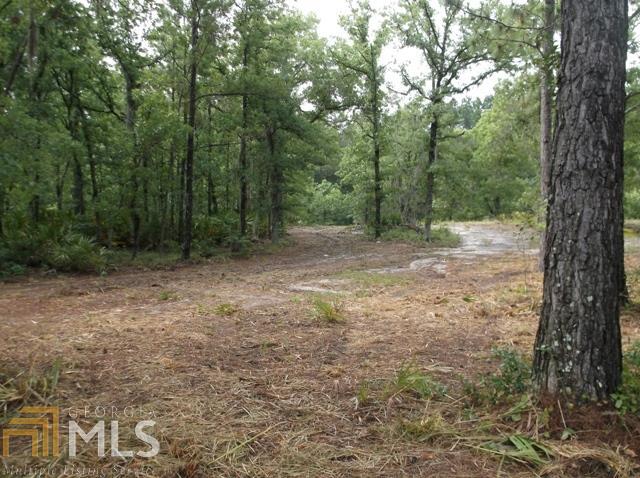 0 Creek Ridge Road Claxton, GA 30417 - Photo 1 of 1