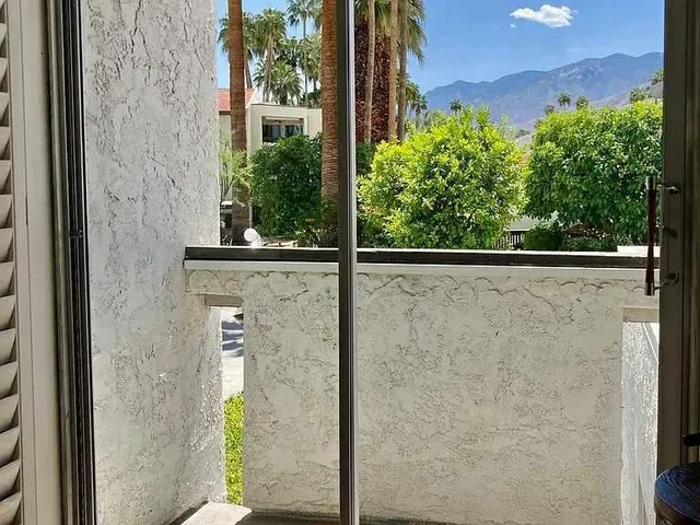 a view of a yard with a palm tree