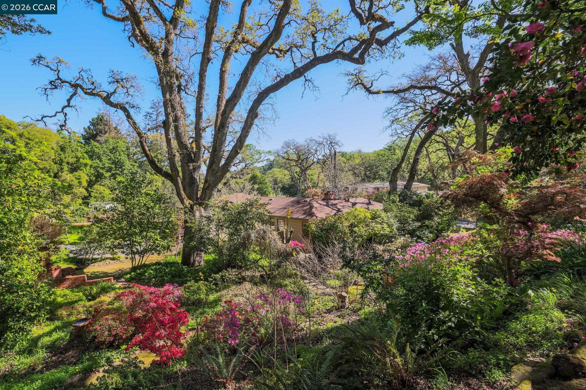 847 Acalanes Road Lafayette, CA 94549 - Photo 26 of 30