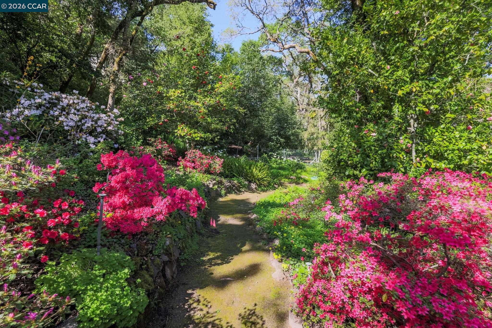 847 Acalanes Road Lafayette, CA 94549 - Photo 27 of 30