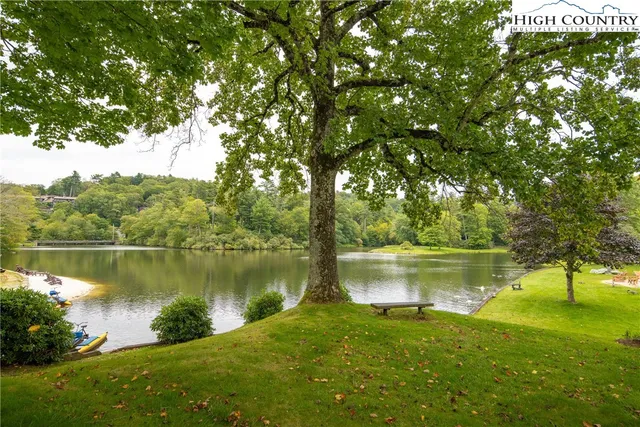 a view of a backyard with couches table and chairs under an umbrella with large trees