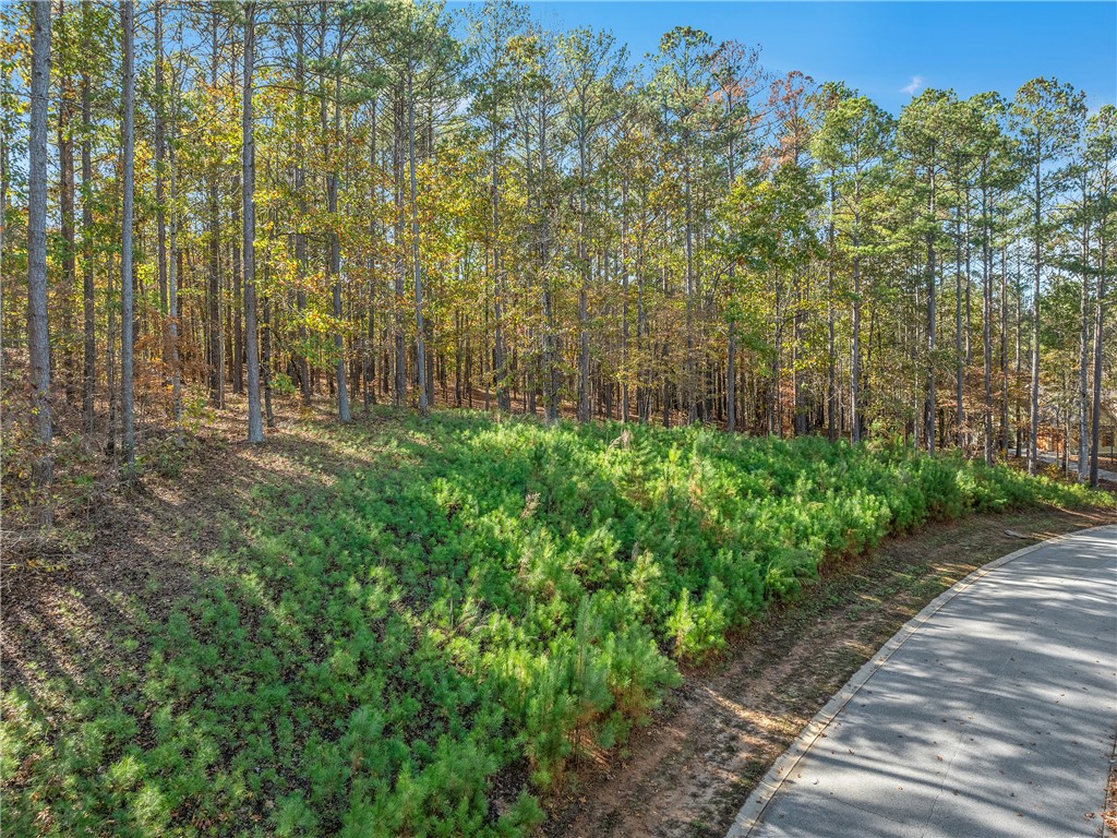 Lot 83 Waterside Crossing Seneca, SC 29672 - Photo 9 of 19