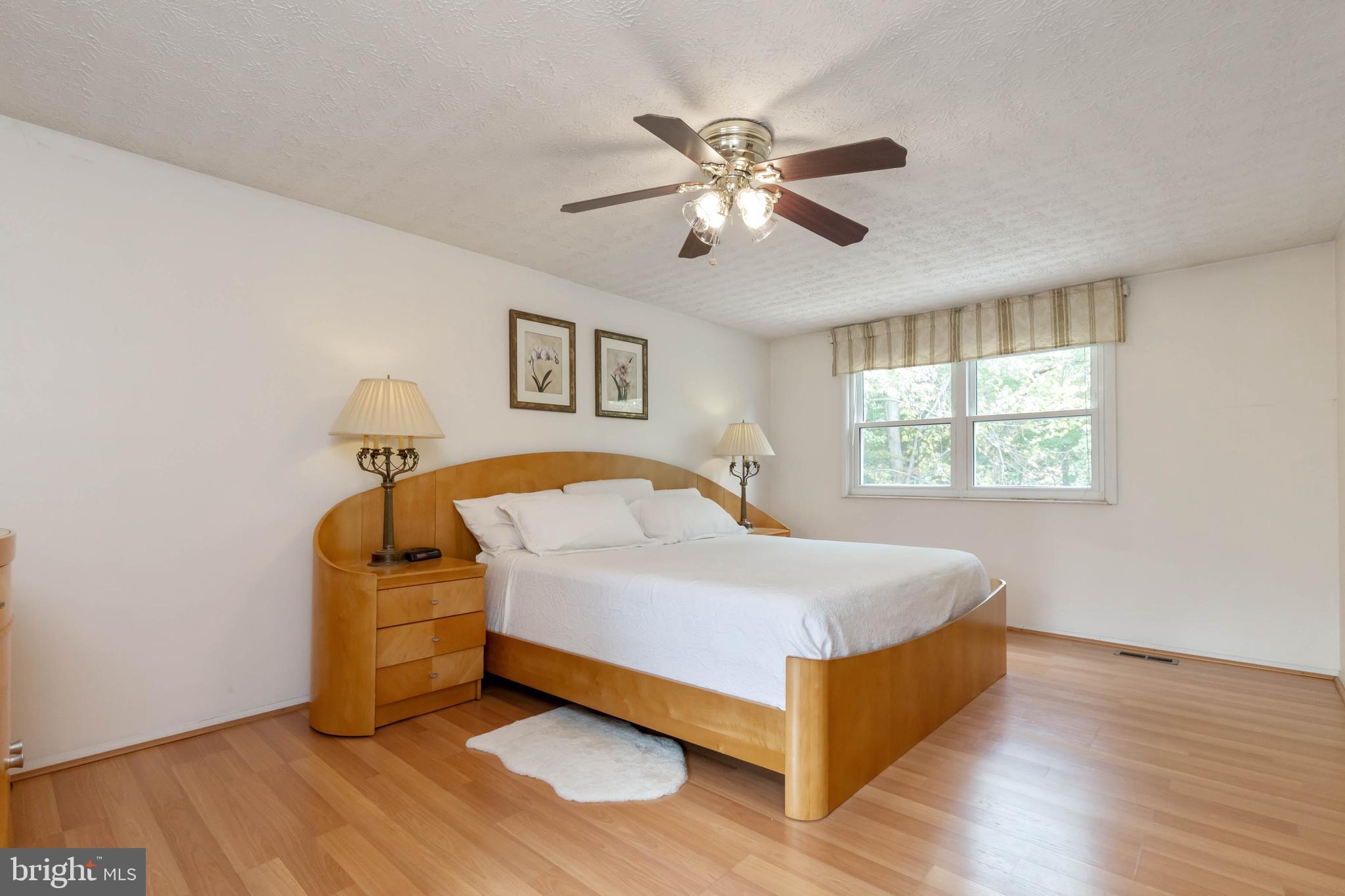 8766 Cold Plain Court Springfield, VA 22153 - Photo 10 of 19 Master Bedroom