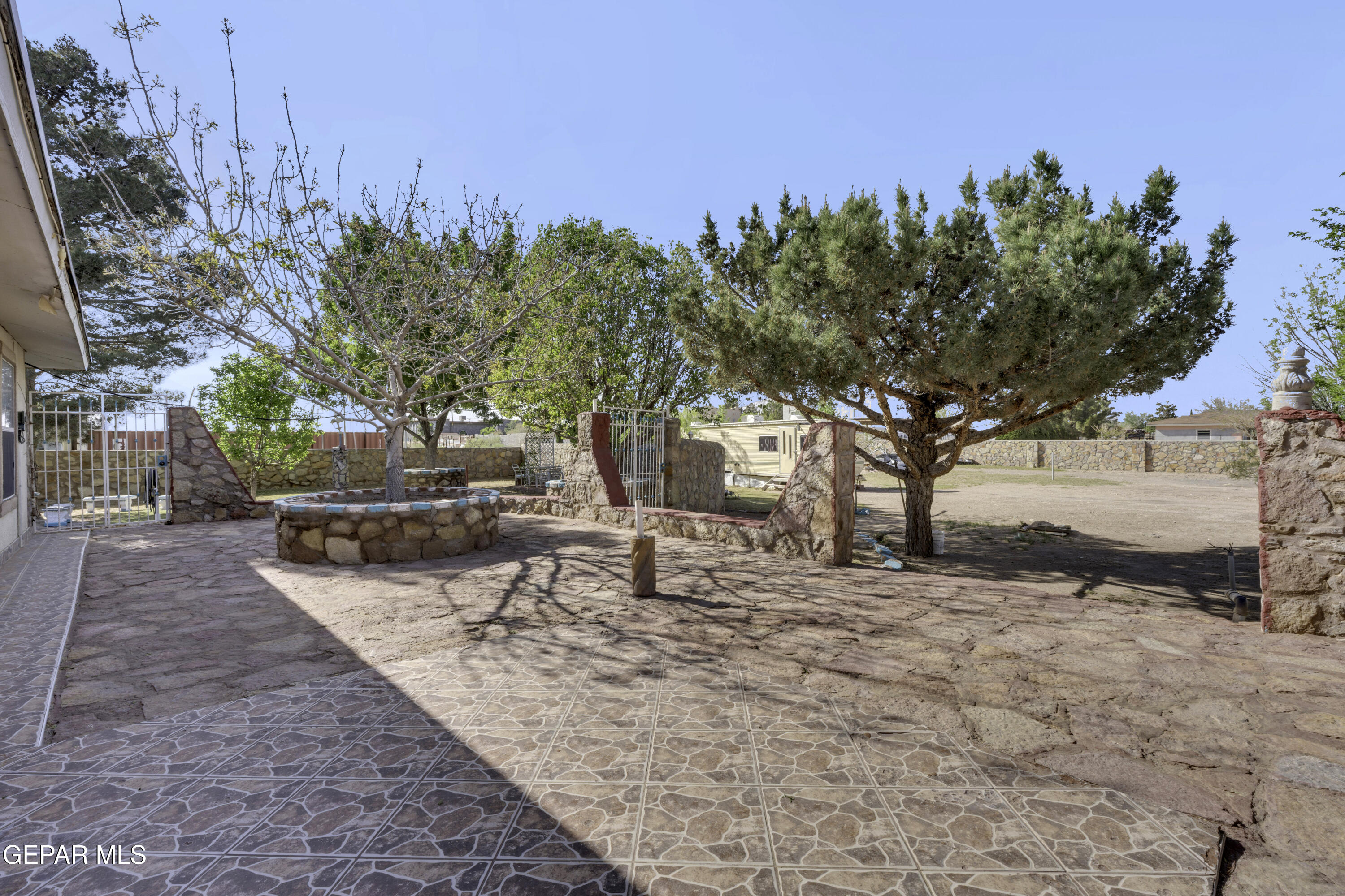 15931 Harrison Road El Paso, TX 79928 - Photo 20 of 83 a view of a yard with trees