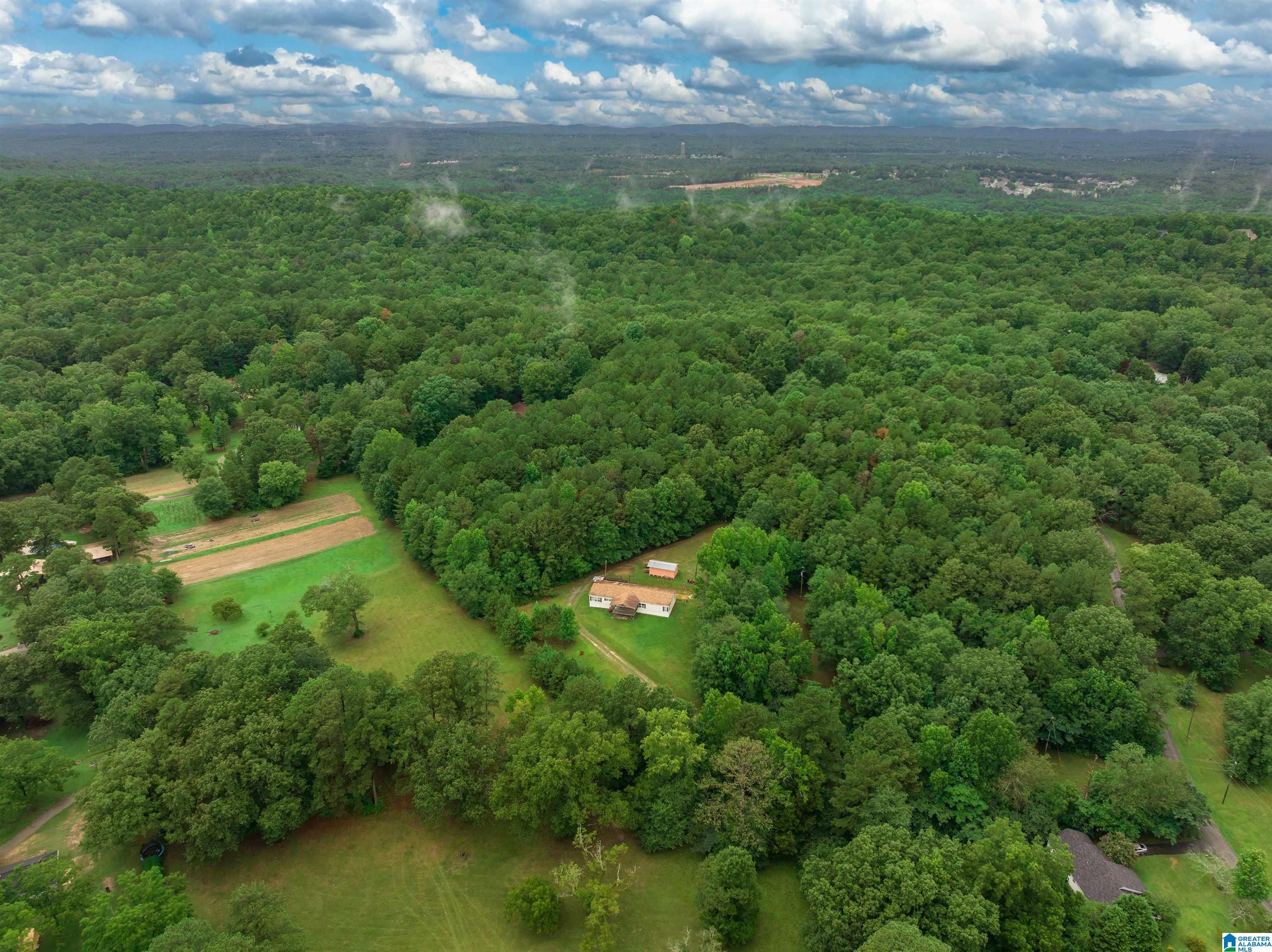 521 Myers Road Odenville, AL 35120 - Photo 35 of 42