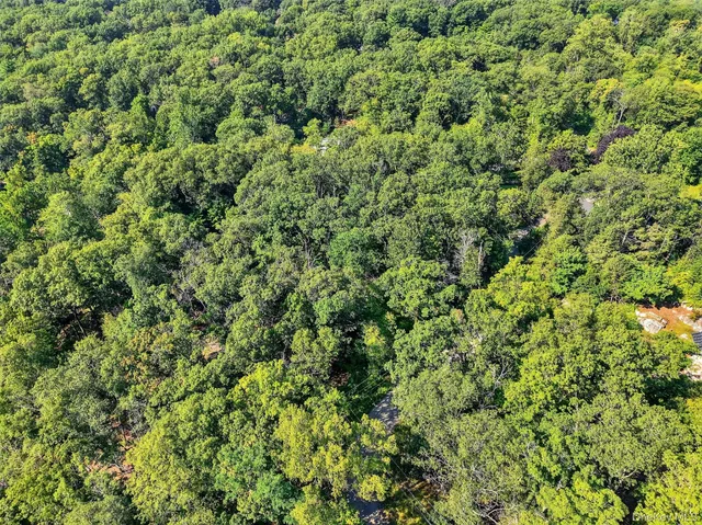 an outdoor view of a yard