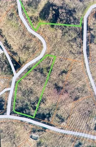 a view of a backyard with plants