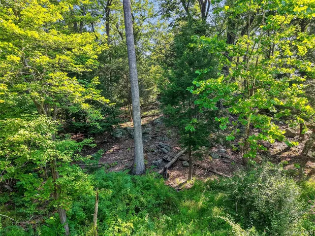 a backyard of a house with lots of plants