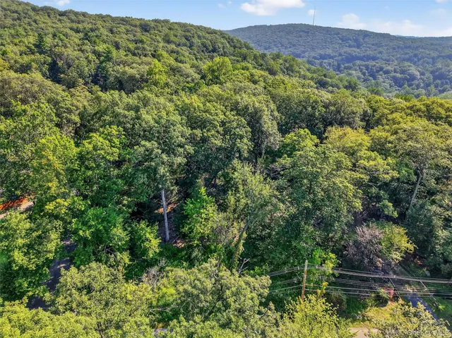 a view of a forest with a houses