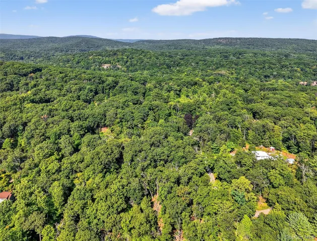 a view of a green field with lots of bushes