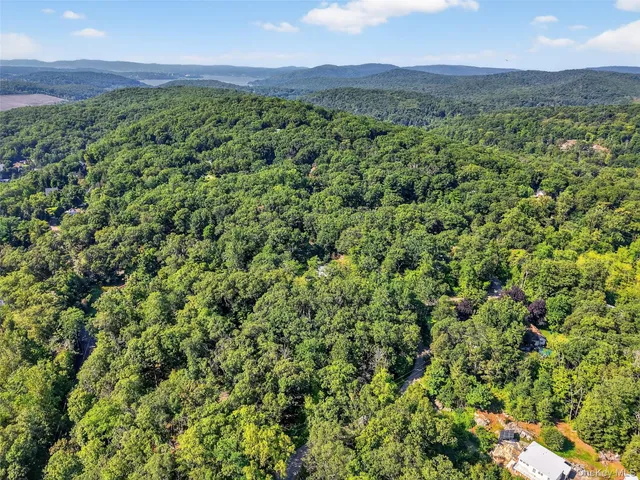 a view of a lush green forest with a houses