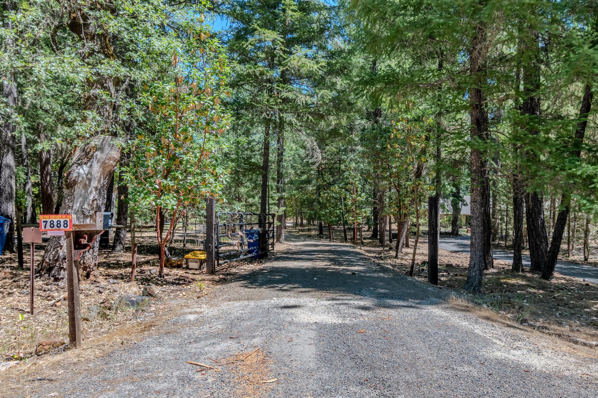 7888 Redthorne Road Rogue River, OR 97537 - Photo 44 of 48 Driveway Entry