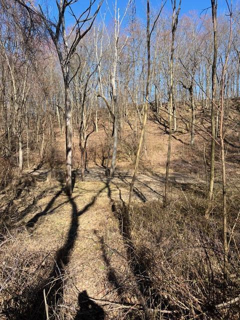 Parcel A West County Line Road Greenville, MI 48838 - Photo 11 of 15 IMG_9149