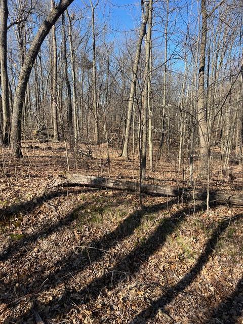 Parcel A West County Line Road Greenville, MI 48838 - Photo 12 of 15 IMG_9156