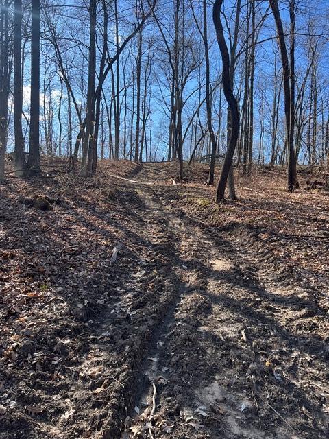 Parcel A West County Line Road Greenville, MI 48838 - Photo 13 of 15 IMG_9158