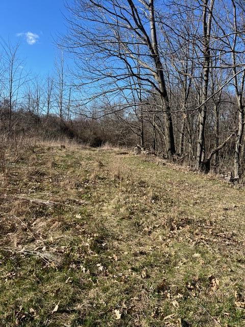 Parcel A West County Line Road Greenville, MI 48838 - Photo 4 of 15 IMG_9130