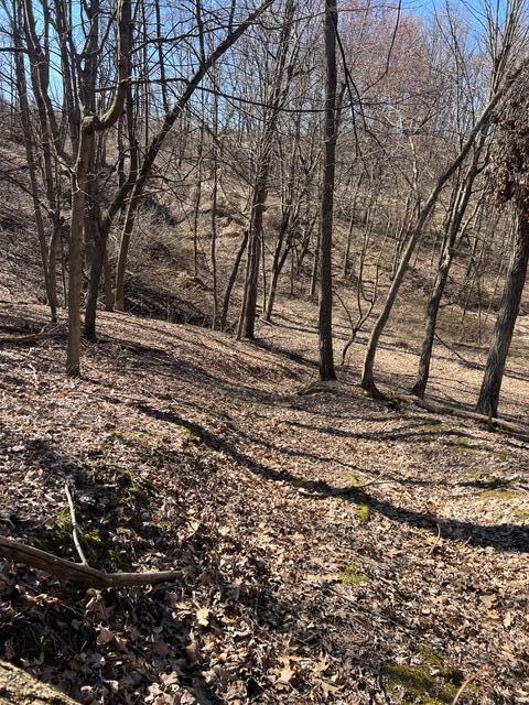 Parcel A West County Line Road Greenville, MI 48838 - Photo 5 of 15 IMG_9119