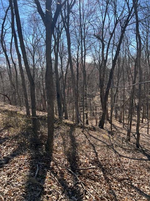 Parcel A West County Line Road Greenville, MI 48838 - Photo 7 of 15 IMG_9107