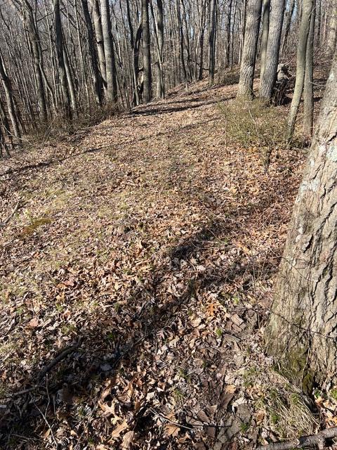 Parcel A West County Line Road Greenville, MI 48838 - Photo 8 of 15 IMG_9108