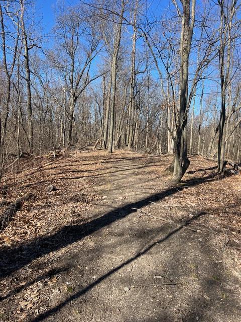 Parcel A West County Line Road Greenville, MI 48838 - Photo 9 of 15 IMG_9116