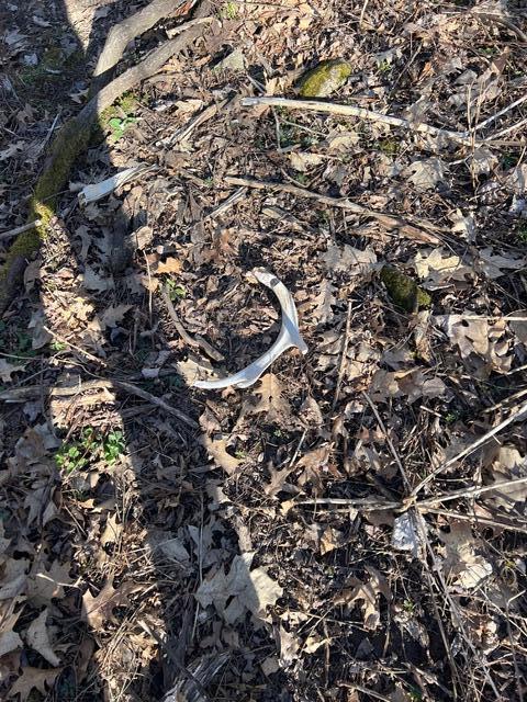 Parcel A West County Line Road Greenville, MI 48838 - Photo 10 of 15 IMG_9147