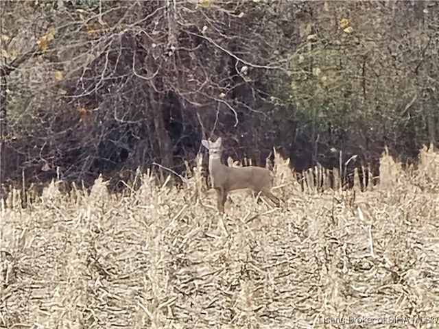 $289,900 | 8261 West Cox Ferry Road, Campbellsburg, IN 47108