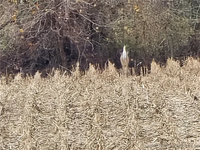 $289,900 | 8261 West Cox Ferry Road, Campbellsburg, IN 47108