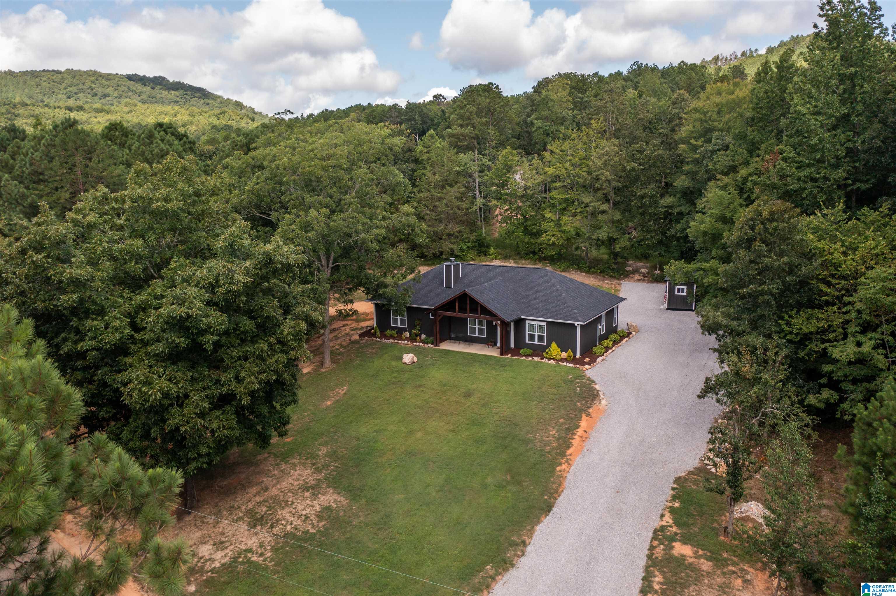 1961 Dripping Rock Road Piedmont, AL 36272 - Photo 47 of 47