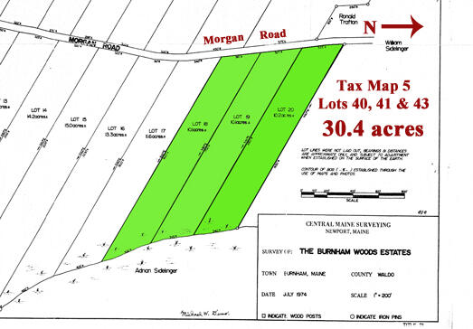 40-41 & 43 Morgan Road Burnham, ME 04922 - Photo 3 of 14 Survey - Lot 3 lots_1024_edited-1b _edit