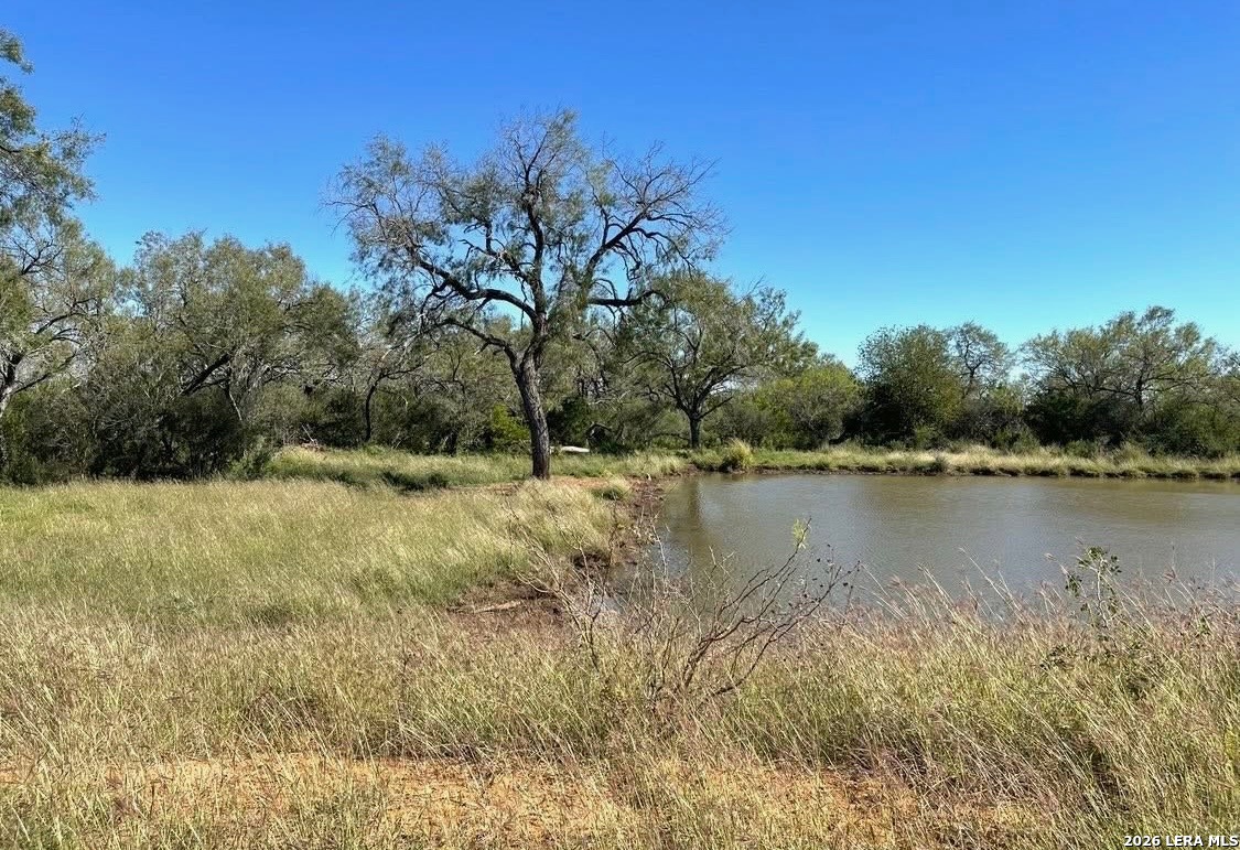 3968 Bluntzer Road Jourdanton, TX 78026 - Photo 35 of 39