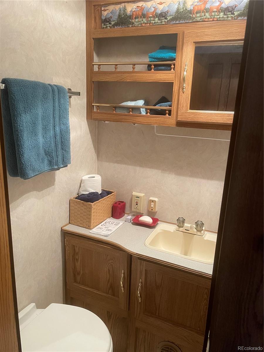 124 Clubcar Road Fairplay, CO 80440 - Photo 10 of 12 a bathroom with a sink vanity and toilet