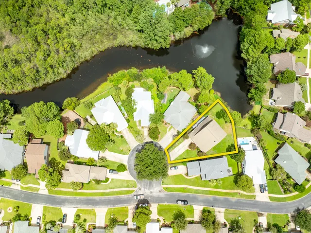 a picture of flowers