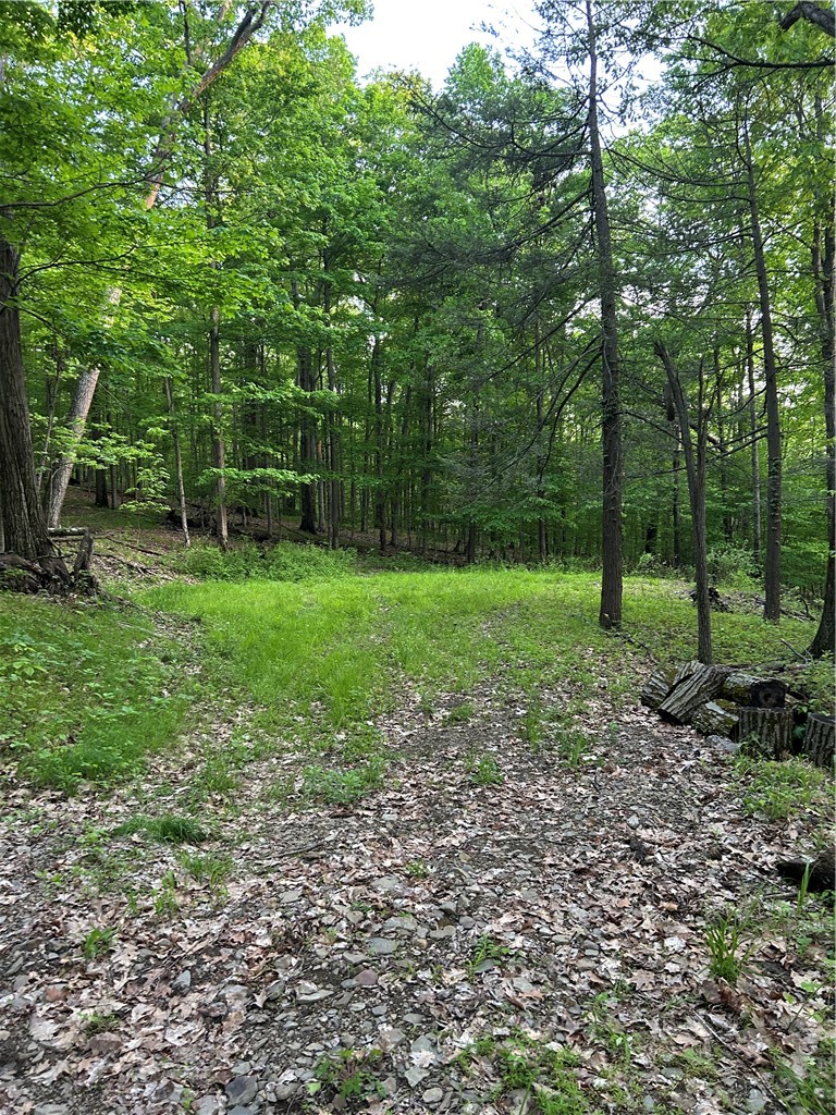 Silvernail Road Hammondsport, NY 14840 - Photo 23 of 25
